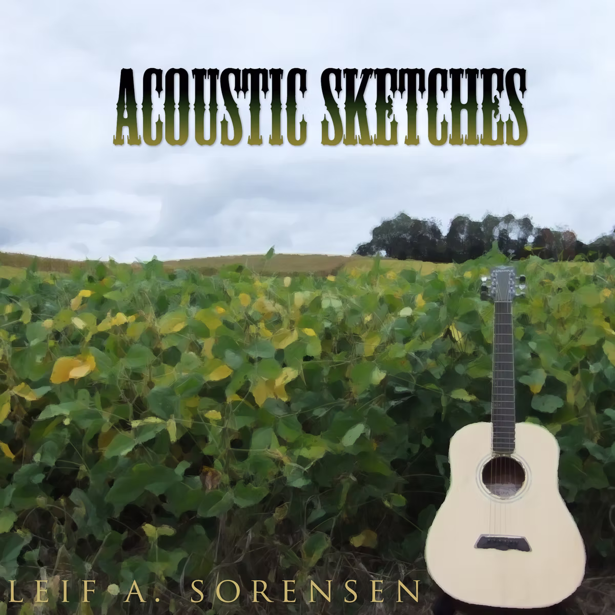 Acoustic Sketches