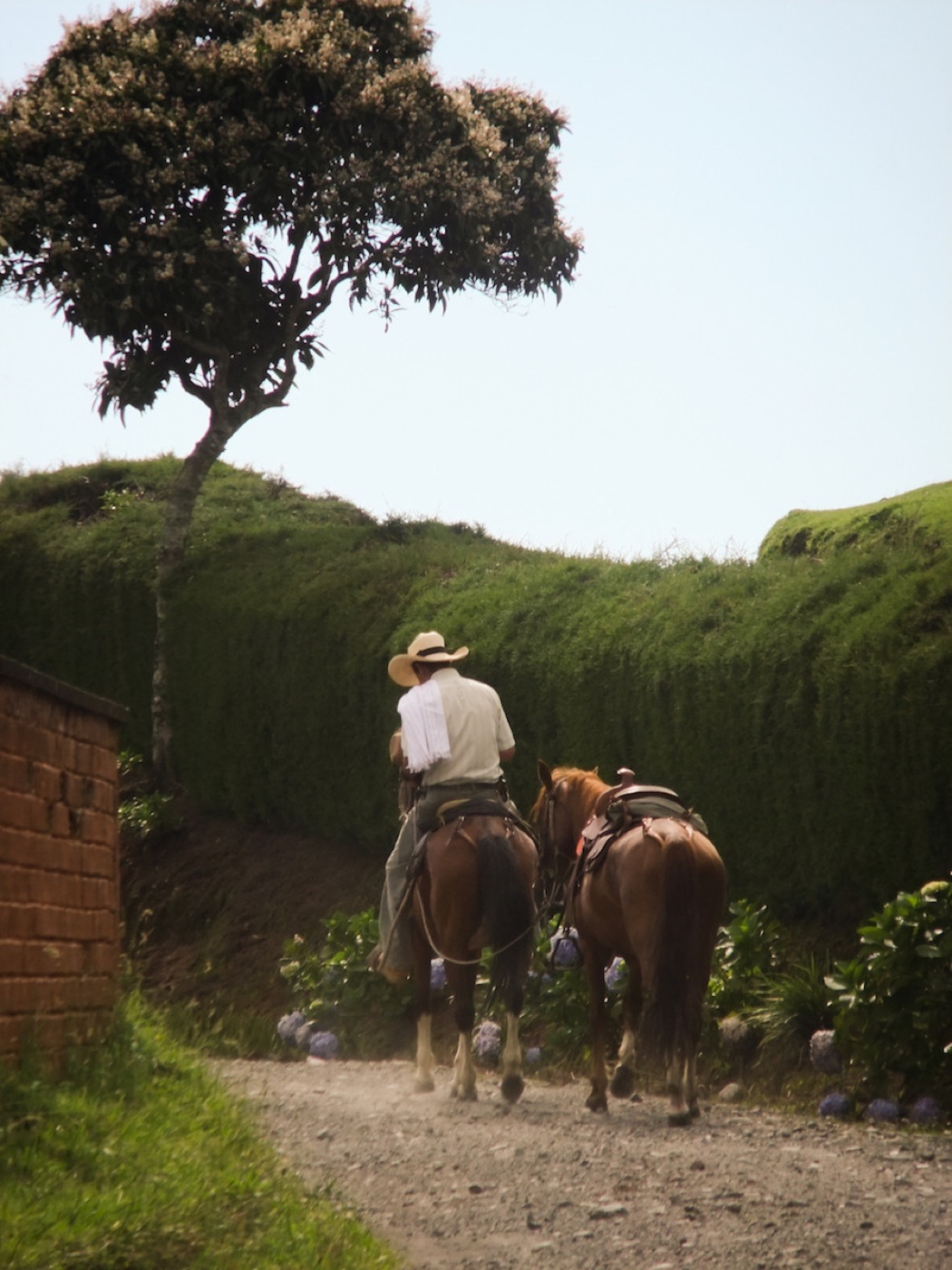 Colombia